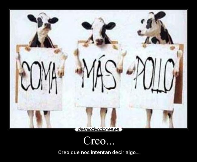 Creo... - Creo que nos intentan decir algo...
