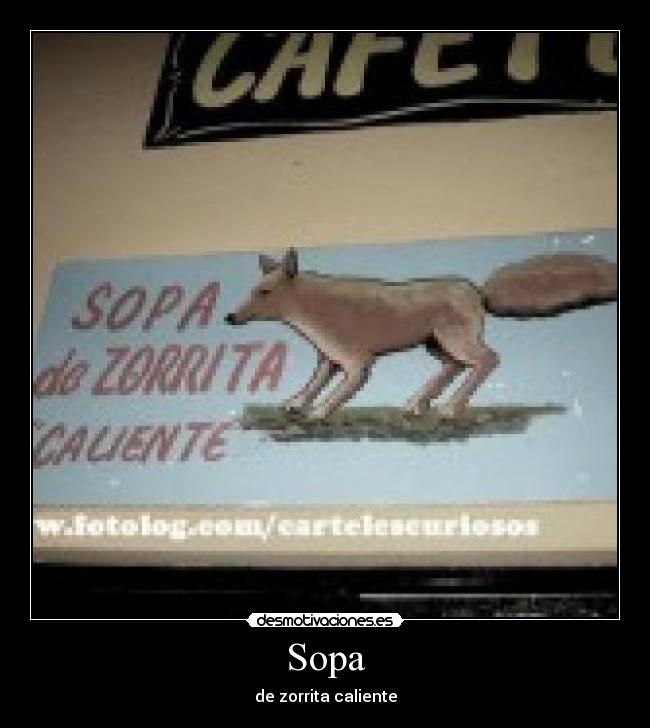 Sopa - 