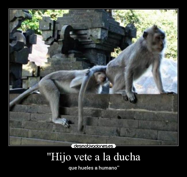 Hijo vete a la ducha - 