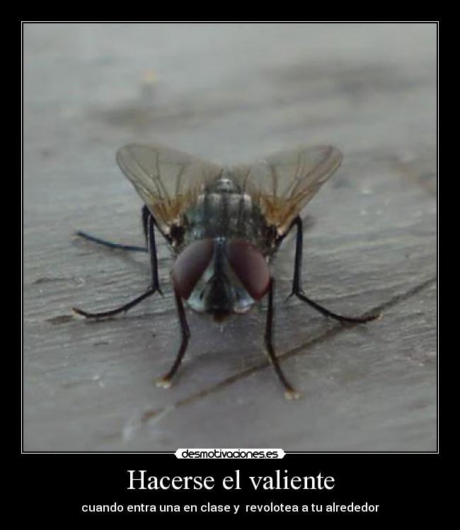 Hacerse el valiente - 