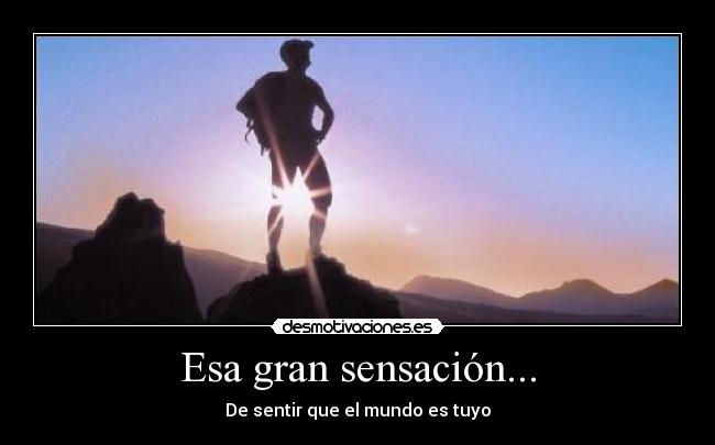 Esa gran sensación... - 