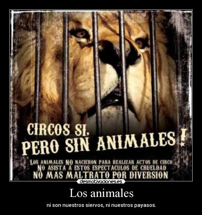 Los animales -