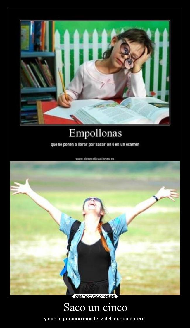 carteles saco cinco desmotivaciones