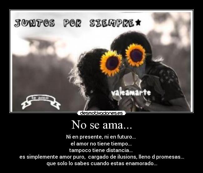 No se ama... - 