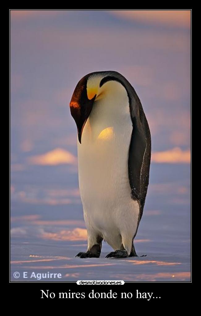 No mires donde no hay... - 