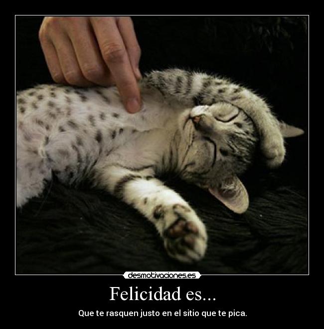 Felicidad es... -