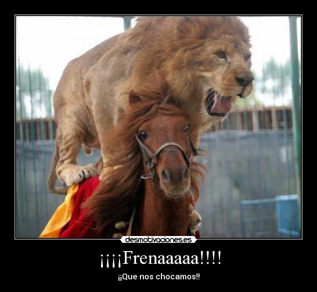 ¡¡¡¡Frenaaaaa!!!! -
