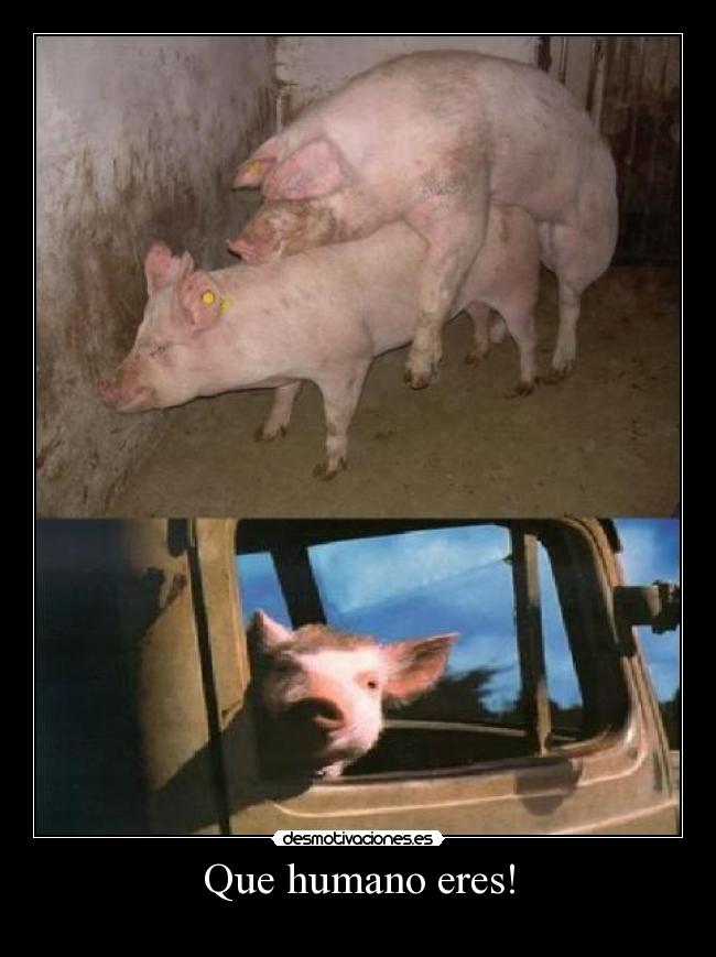 Que humano eres! -