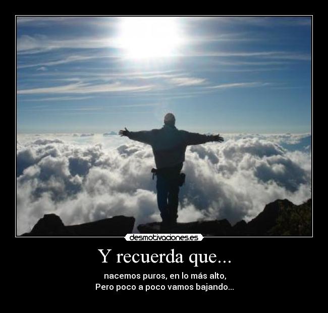 carteles sanny desmotivaciones