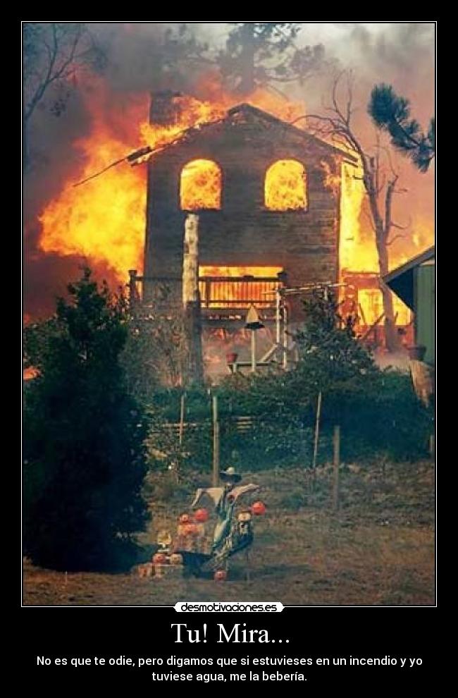 Tu! Mira... - No es que te odie, pero digamos que si estuvieses en un incendio y yo
tuviese agua, me la bebería.