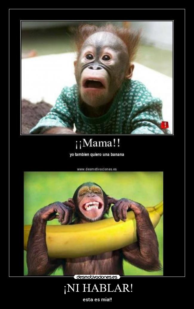 ¡NI HABLAR! -