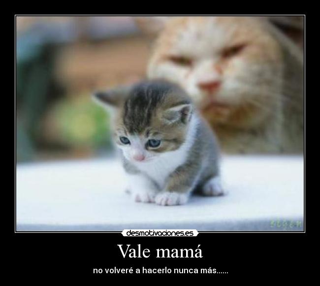 Vale mamá - no volveré a hacerlo nunca más......