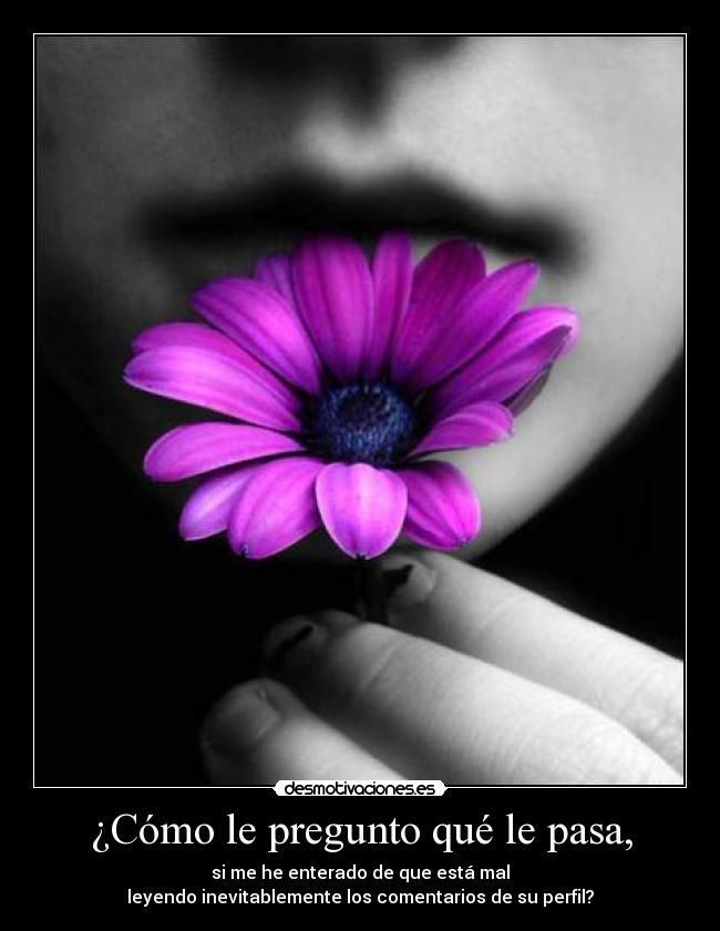 carteles amor desmotivaciones