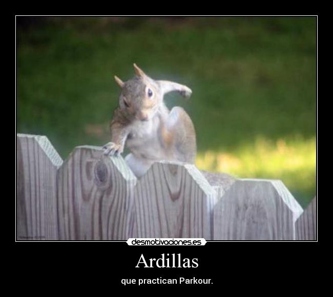 carteles ardilla parkour desmotivaciones