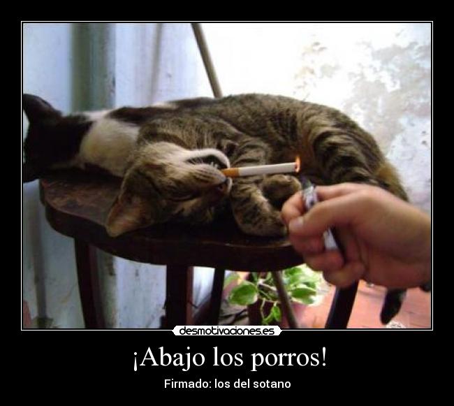 ¡Abajo los porros! - 
