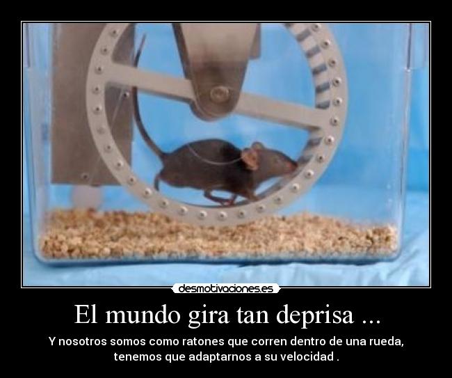El mundo gira tan deprisa ... - Y nosotros somos como ratones que corren dentro de una rueda,
tenemos que adaptarnos a su velocidad .