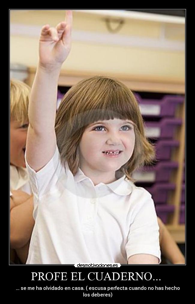 PROFE EL CUADERNO...  - 