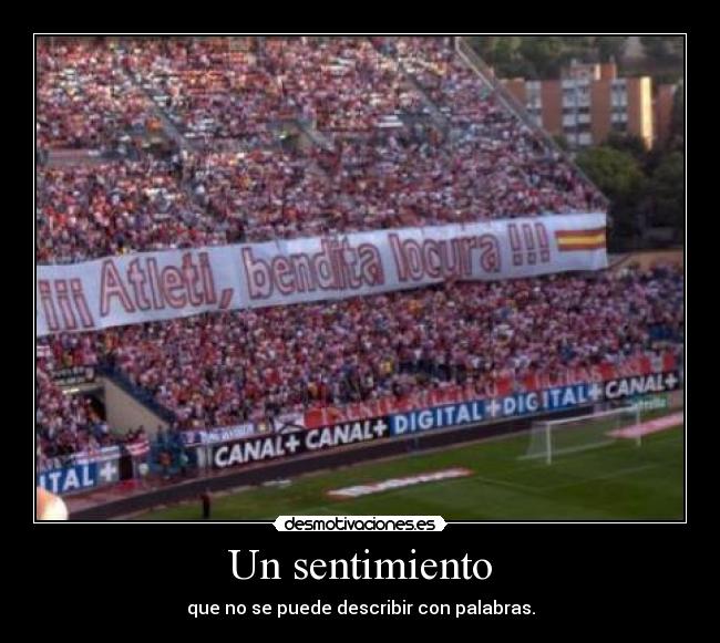 Un sentimiento -