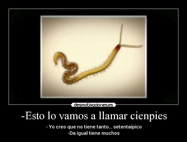 -Esto lo vamos a llamar cienpies - - Yo creo que no tiene tanto... setentaipico
-Da igual tiene muchos