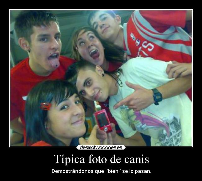 Típica foto de canis -