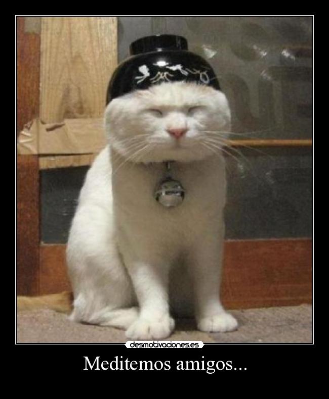 Meditemos amigos... -