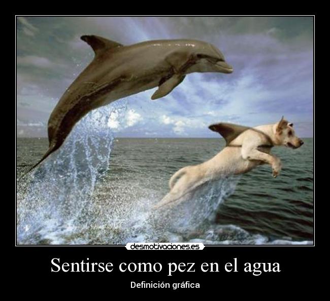 Sentirse como pez en el agua -