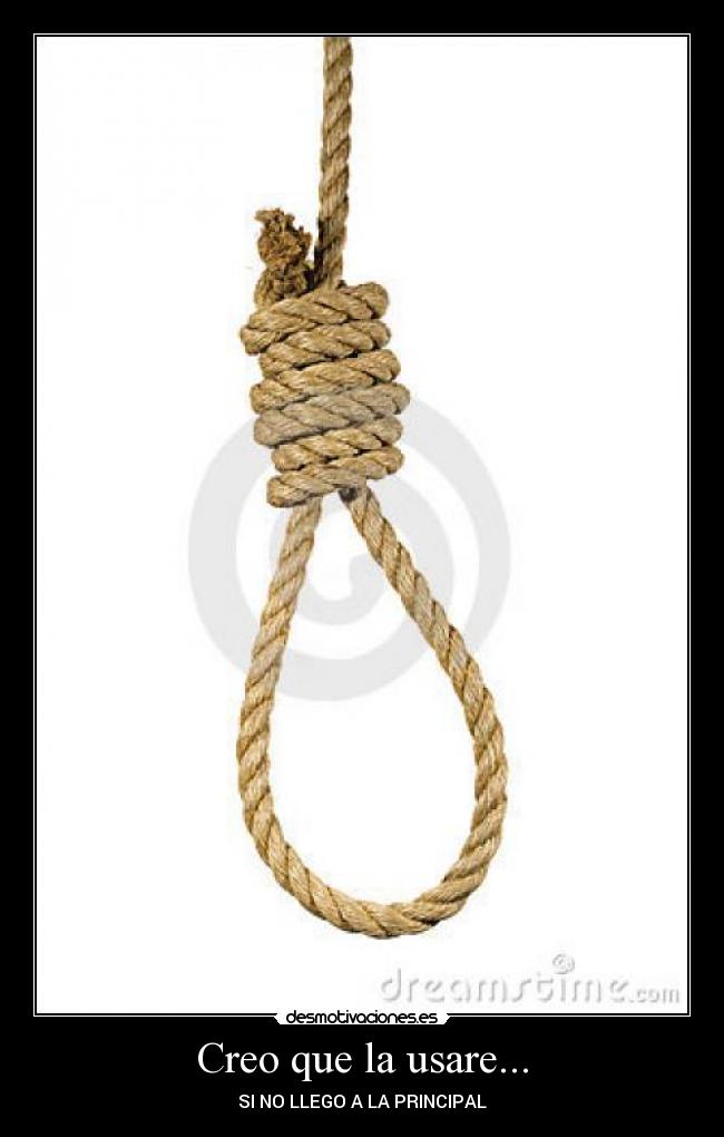 Creo que la usare... -