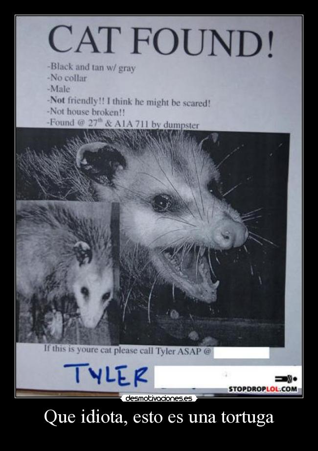 Que idiota, esto es una tortuga -