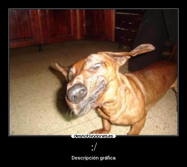 :/ - Descripción gráfica