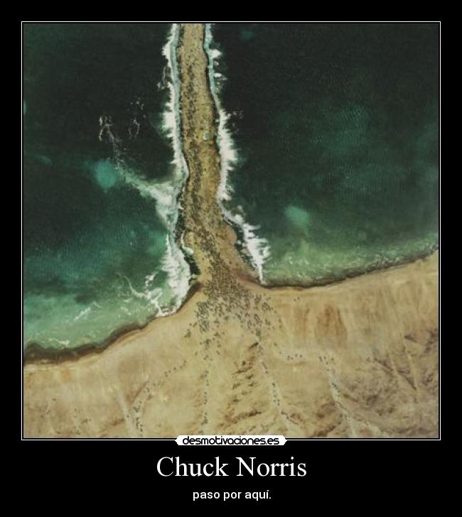 Chuck Norris - 