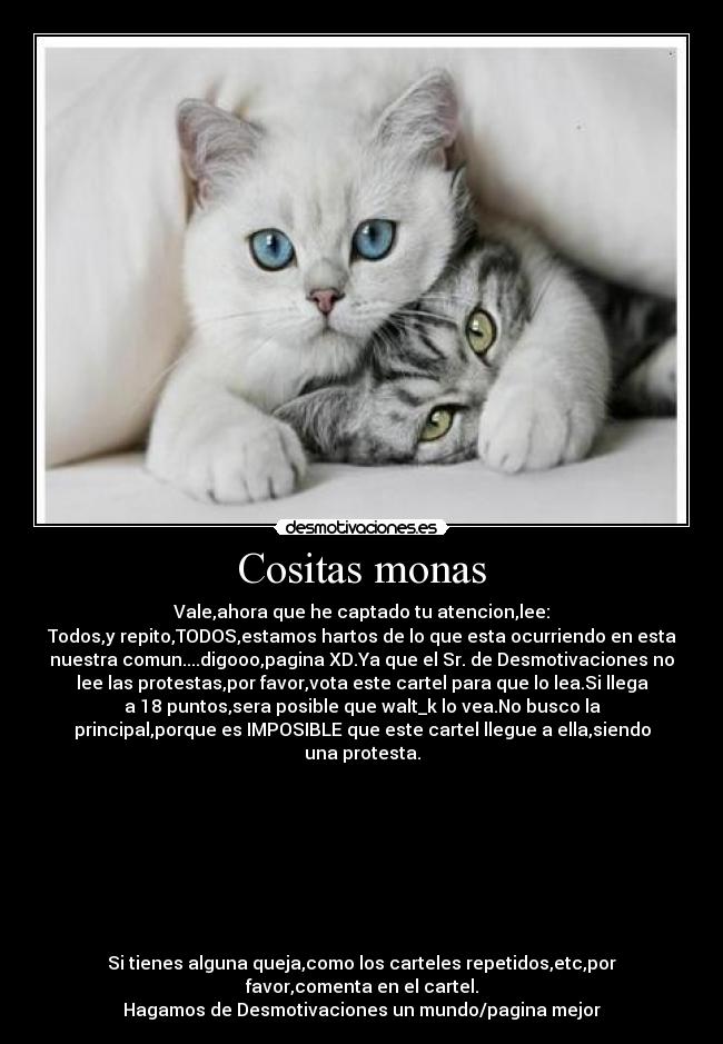 Cositas monas - Vale,ahora que he captado tu atencion,lee:
Todos,y repito,TODOS,estamos hartos de lo que esta ocurriendo en esta
nuestra comun....digooo,pagina XD.Ya que el Sr. de Desmotivaciones no
lee las protestas,por favor,vota este cartel para que lo lea.Si llega
a 18 puntos,sera posible que walt_k lo vea.No busco la
principal,porque es IMPOSIBLE que este cartel llegue a ella,siendo
una protesta.
Si tienes alguna queja,como los carteles repetidos,etc,por
favor,comenta en el cartel.
Hagamos de Desmotivaciones un mundo/pagina mejor