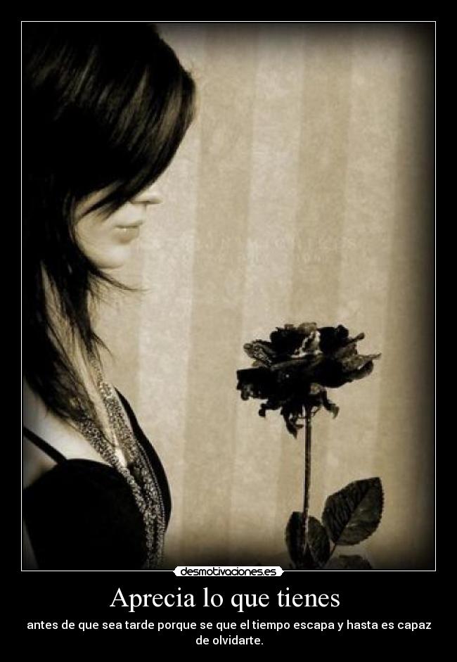 carteles always smile desmotivaciones