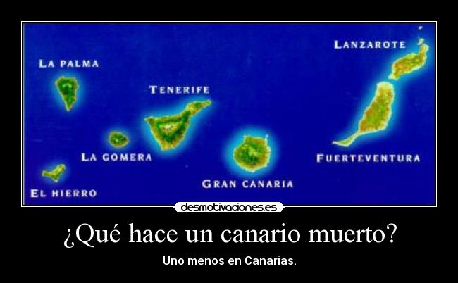 ¿Qué hace un canario muerto? - Uno menos en Canarias.