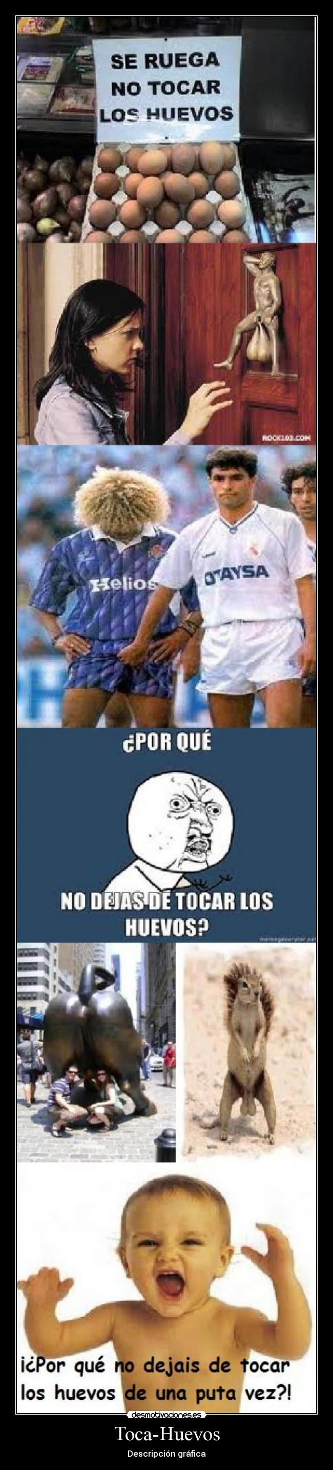 Toca-Huevos - Descripción gráfica