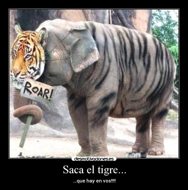 Saca el tigre... - ...que hay en vos!!!!