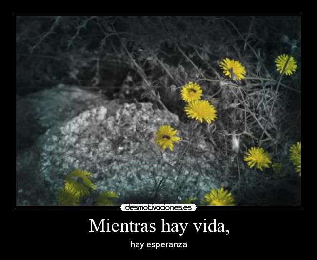 Mientras hay vida, -