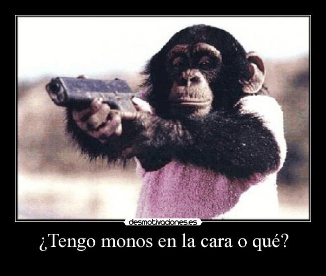 ¿Tengo monos en la cara o qué? - 