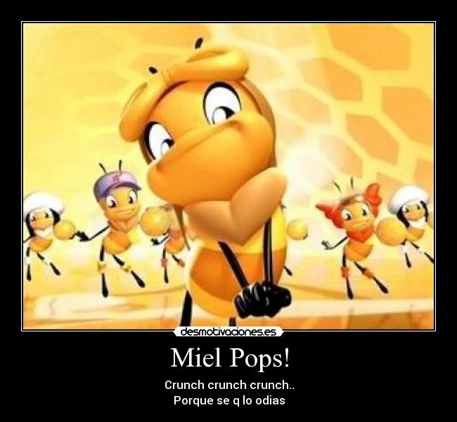 Miel Pops! - 