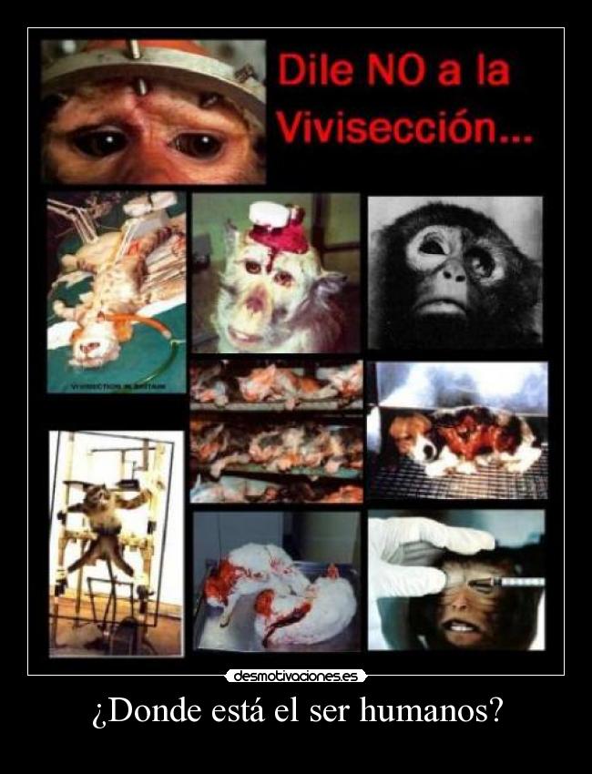 ¿Donde está el ser humanos? -