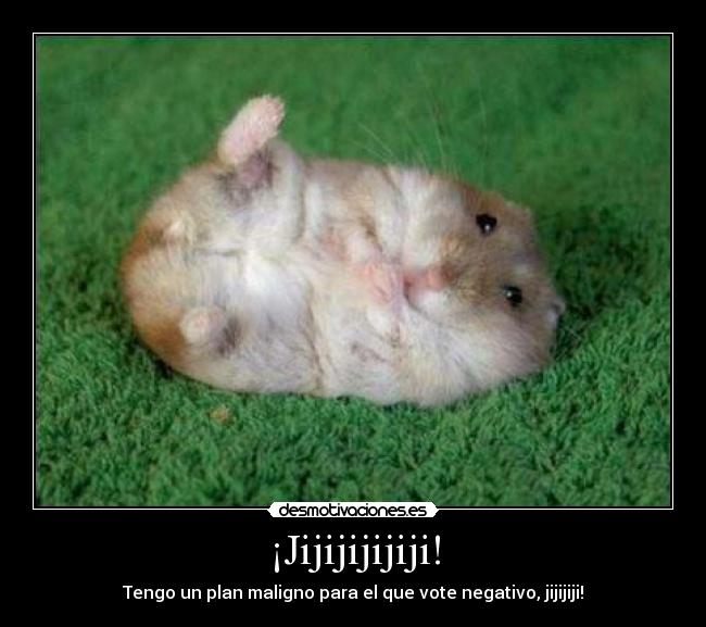 carteles hamster jijiji plan negativo desmotivaciones