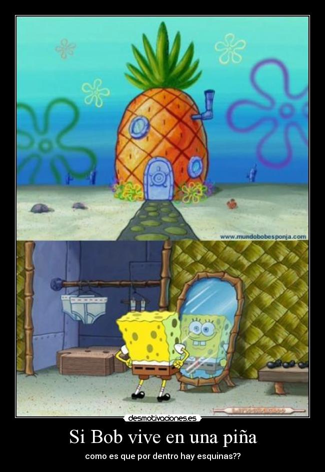 Si Bob vive en una piña -