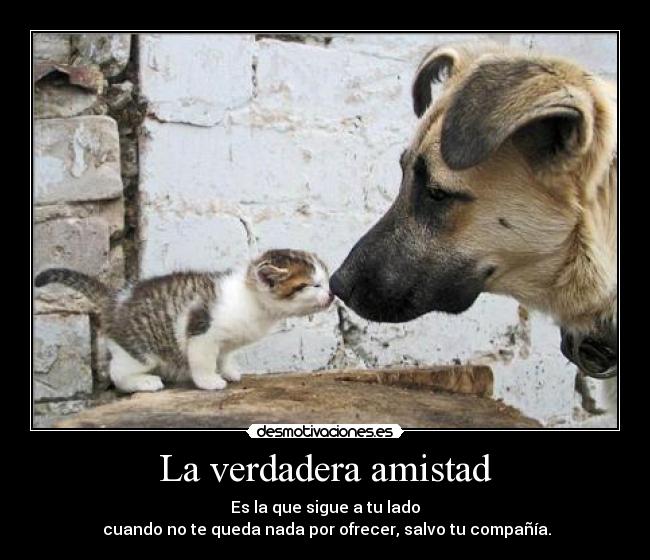 La verdadera amistad -