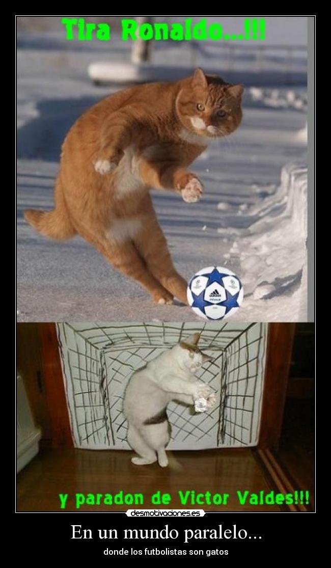 En un mundo paralelo... -