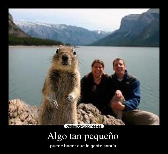 Algo tan pequeño - puede hacer que la gente sonría.