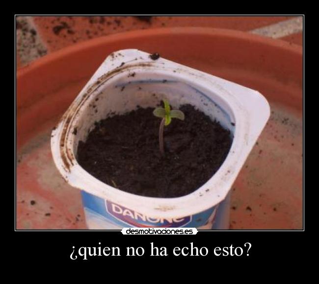 ¿quien no ha echo esto? -