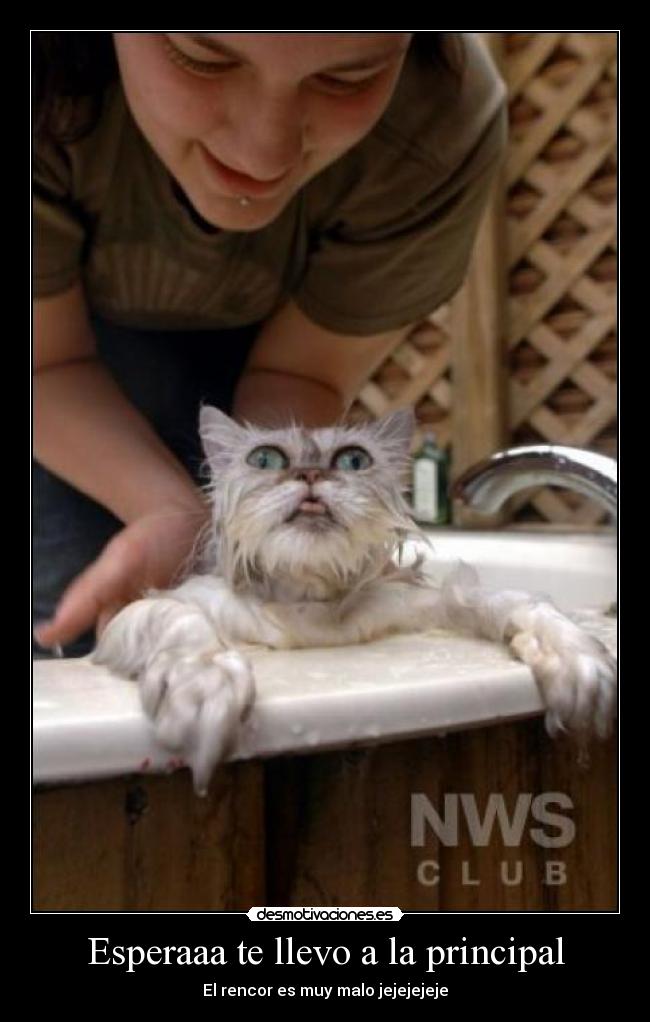 Esperaaa te llevo a la principal -