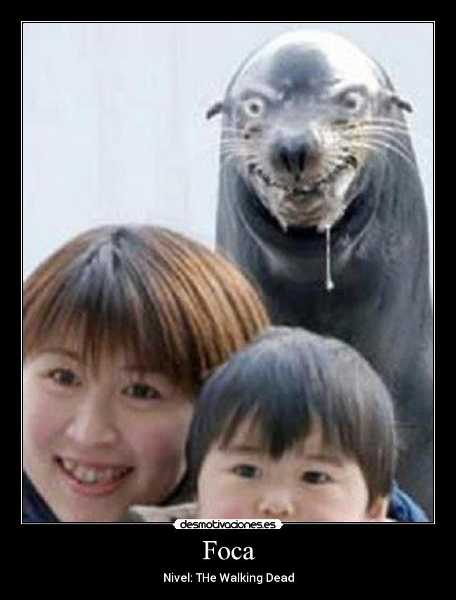 Foca - Nivel: THe Walking Dead