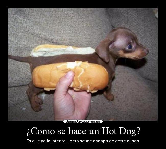 carteles como hace hot dog desmotivaciones