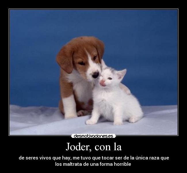 Joder, con la - 