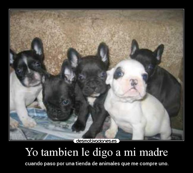 Yo tambien le digo a mi madre - 